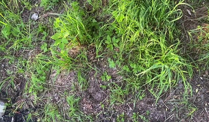 Парень застал писающую девушку и трахнул ее